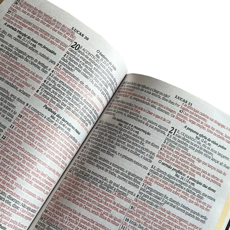 Biblia Letra Sagrada Gigante  Popular-Folha Rosa-Com Harpa-Mulher-RC